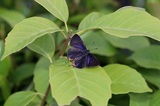 190605_55.jpg