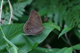 080713-70.jpg