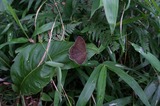 080713-90.jpg