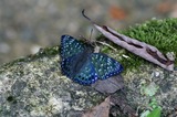 080814-10.jpg