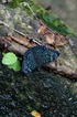 080814-30.jpg