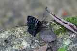 080814-40.jpg