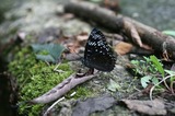 080814-50.jpg