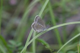081007-10.jpg