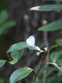 081018-s.jpg