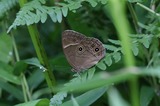 090712krm1.jpg