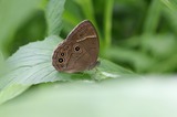 090712krm2.jpg