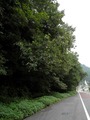 101219-4.jpg