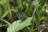09070306-1.jpg