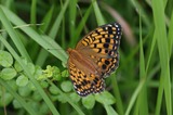 09070306-2.jpg
