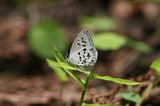 09070306-3.jpg