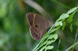 090706-k1.jpg