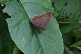 090706-k2.jpg
