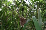 090706-k3.jpg