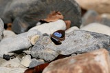 091031lo2.jpg