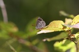 091031lo3.jpg