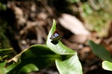 091031lo4.jpg