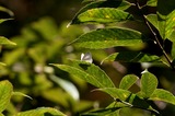 091031sa1.jpg