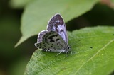 060807ogm.jpg