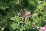 06092401.jpg