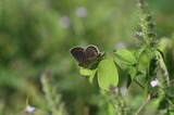 06092403.jpg
