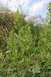 06092404.jpg
