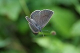 070814-1.jpg