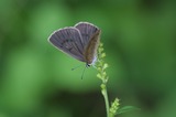 070814-2.jpg