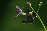 070814-3.jpg