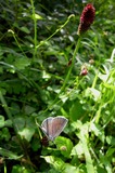 070814-4.jpg
