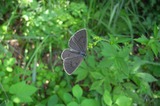 070814-5.jpg