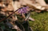 080404-3.jpg