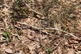 080404-4.jpg