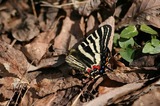 080404-6.jpg