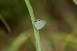 110129-0509-1.jpg