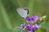 110129-0509-2.jpg