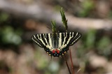 110417-2.jpg
