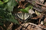 110504-01.jpg