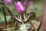 110504-03.jpg