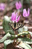 110504-05.jpg