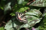 110504-08.jpg
