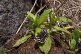 110505-08.jpg