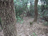 110522-1.jpg
