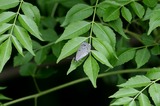 110606urg01.jpg