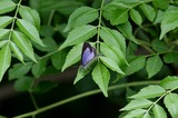 110606urg04.jpg