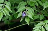 110606urg05.jpg