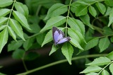 110606urg07.jpg