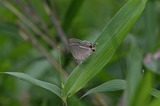 110618hro3.jpg