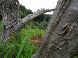 110618kmm2.jpg