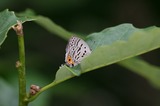 110618us1.jpg